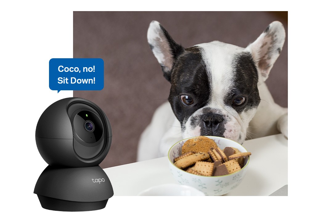 Камера за видеонаблюдение TP-LINK Surveillance camera C211 / TAPO C211 - Black - PN TAPO C211