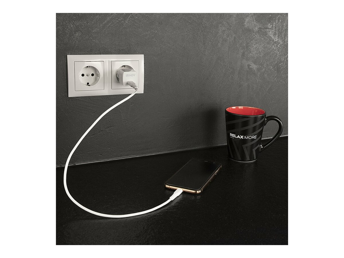 ЗАХРАНВАЩ АДАПТЕР LINDY - USB-C - 20W - White - PN 73410