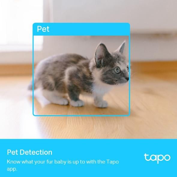 Камера за видеонаблюдение TP-LINK Surveillance camera C225 / Tapo C225 - White - PN Tapo C225